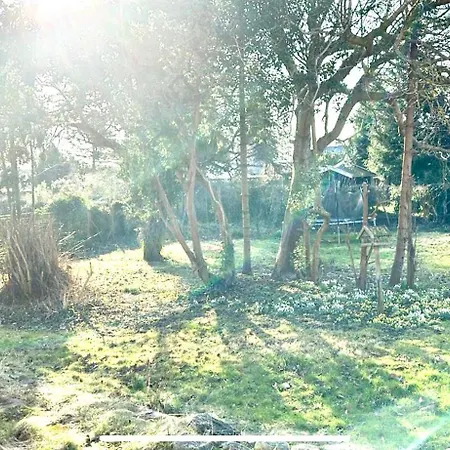 Near Lousiana * Humlebaek