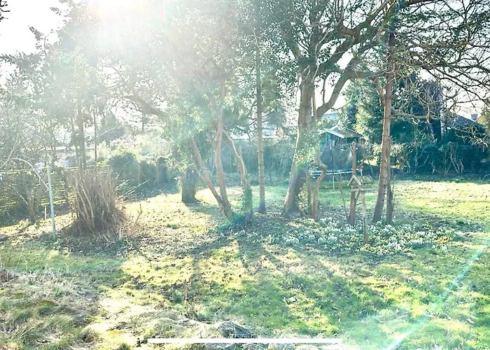 Near Lousiana * Humlebæk